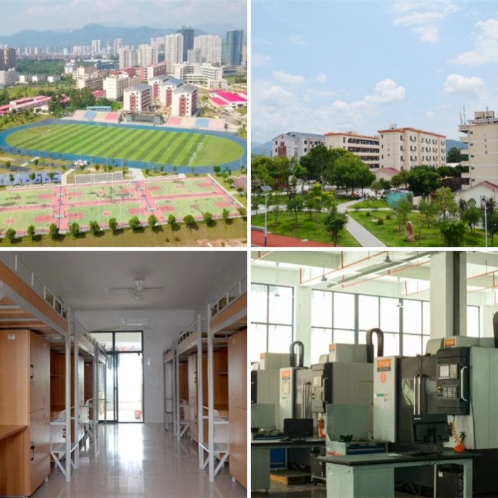 1757577124427380.jpg 8.jpg